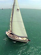 Wild Thing under sail during sailboat race