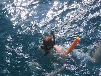 snorkeling Key West Florida Vacation activities